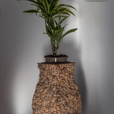 Forest Breeze Apartterrace Apartment