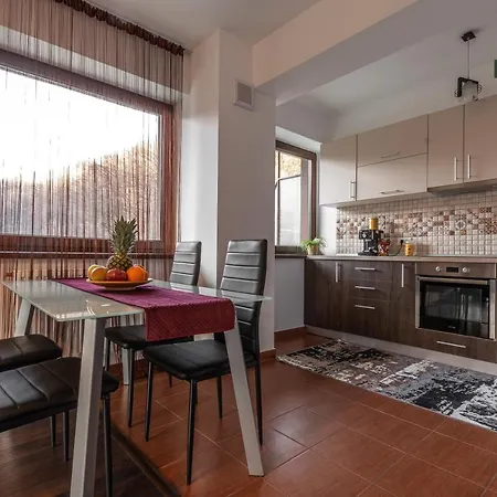 Forest Breeze Apartterrace Brasov