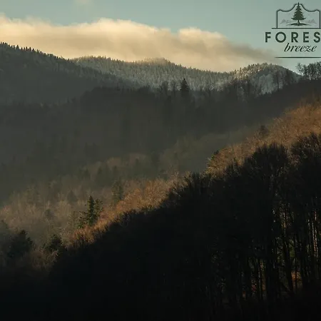 Forest Breeze Apartterrace Apartment *