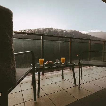 Forest Breeze Apartterrace * Brasov